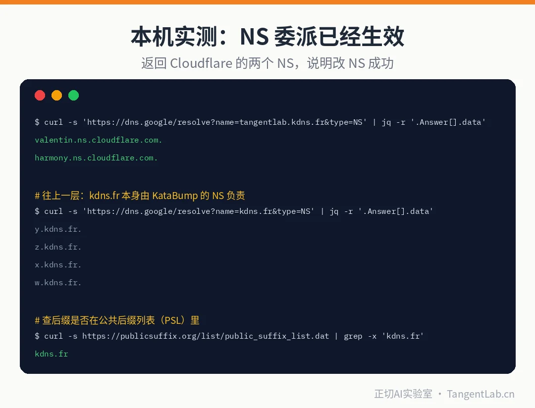 本机实测的 DoH 查询结果